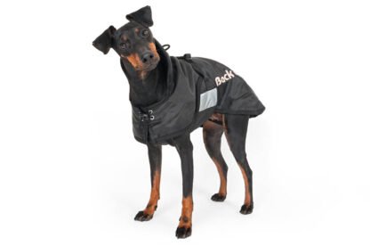 Back on Track Dog Coat Quilted